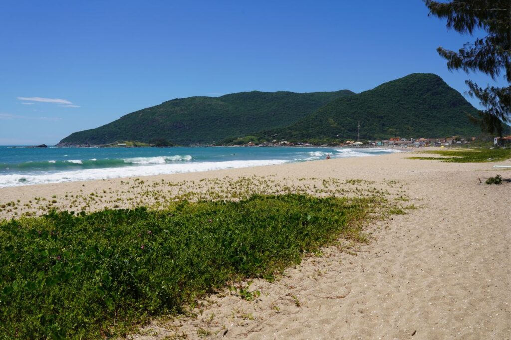 Praia da Armação