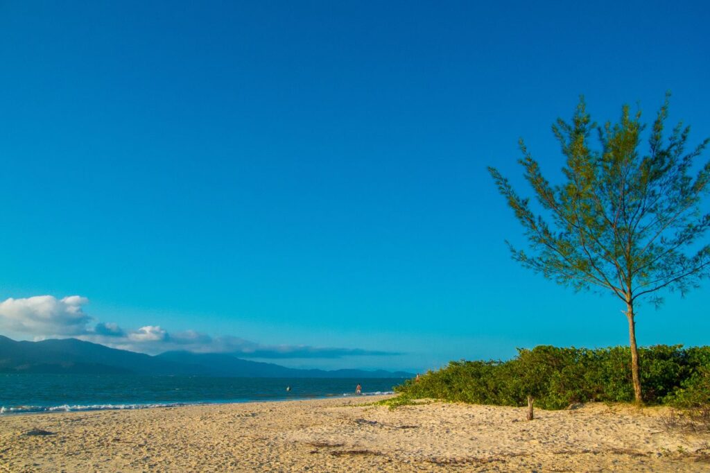 Praia da Daniela