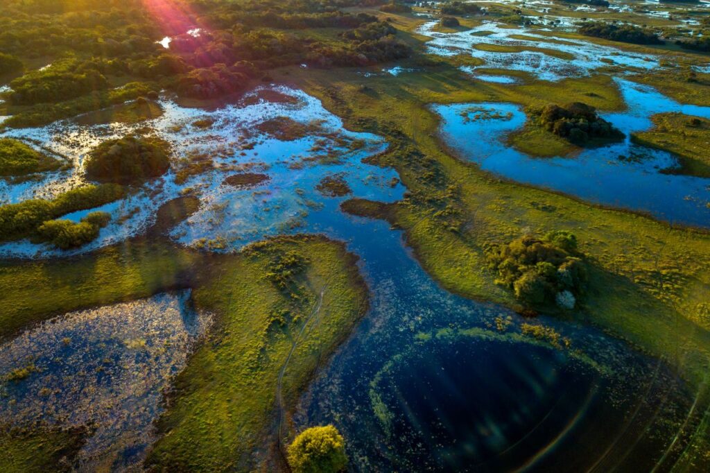 Onde-e-baixa-temporada-Pantanal