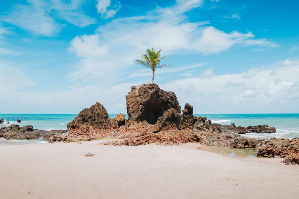 Para onde viajar em Agosto? João Pessoa (PB) – Praias paradisíacas com ótimo custo-benefício