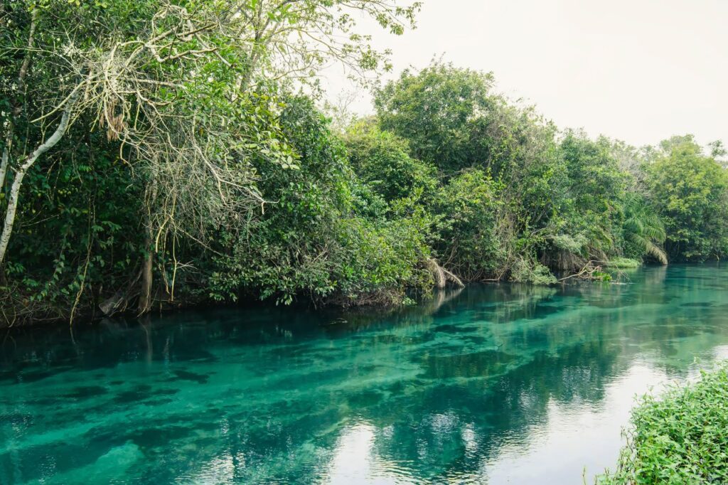 Bonito (MS) – Ecoturismo e águas cristalinas