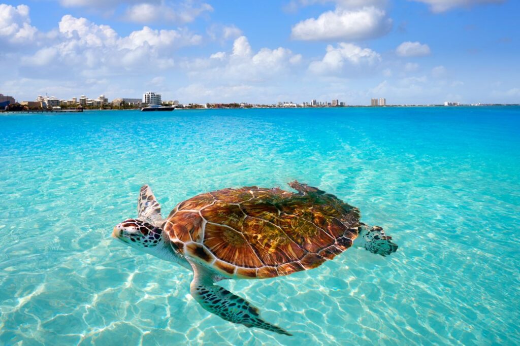 Cancún e Riviera Maia (México) – Praias paradisíacas e cultura maia