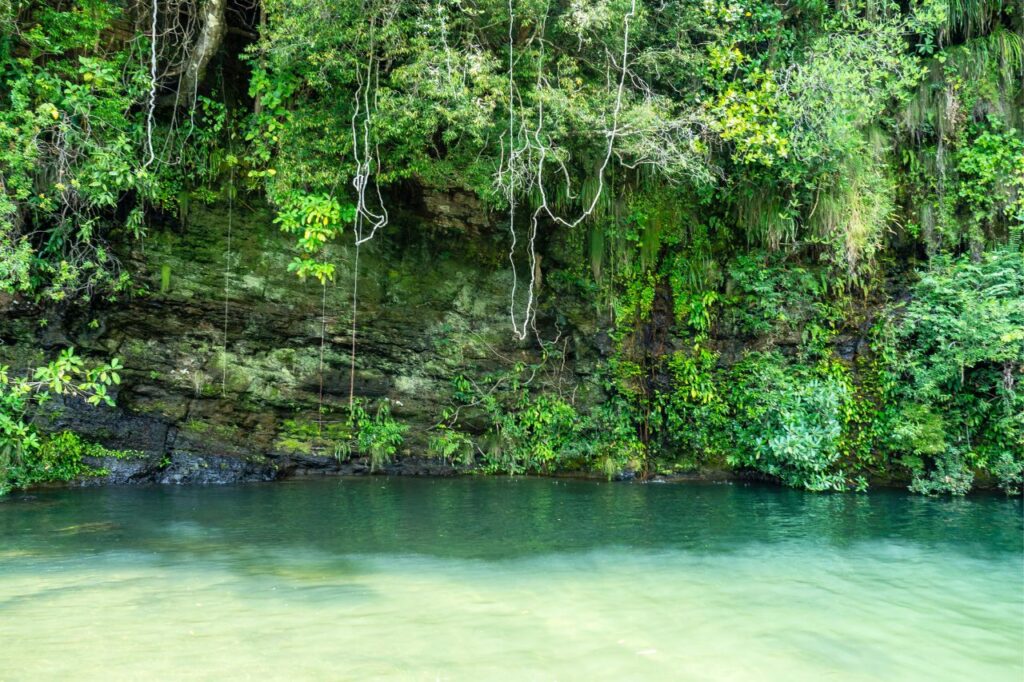 Chapada dos Veadeiros